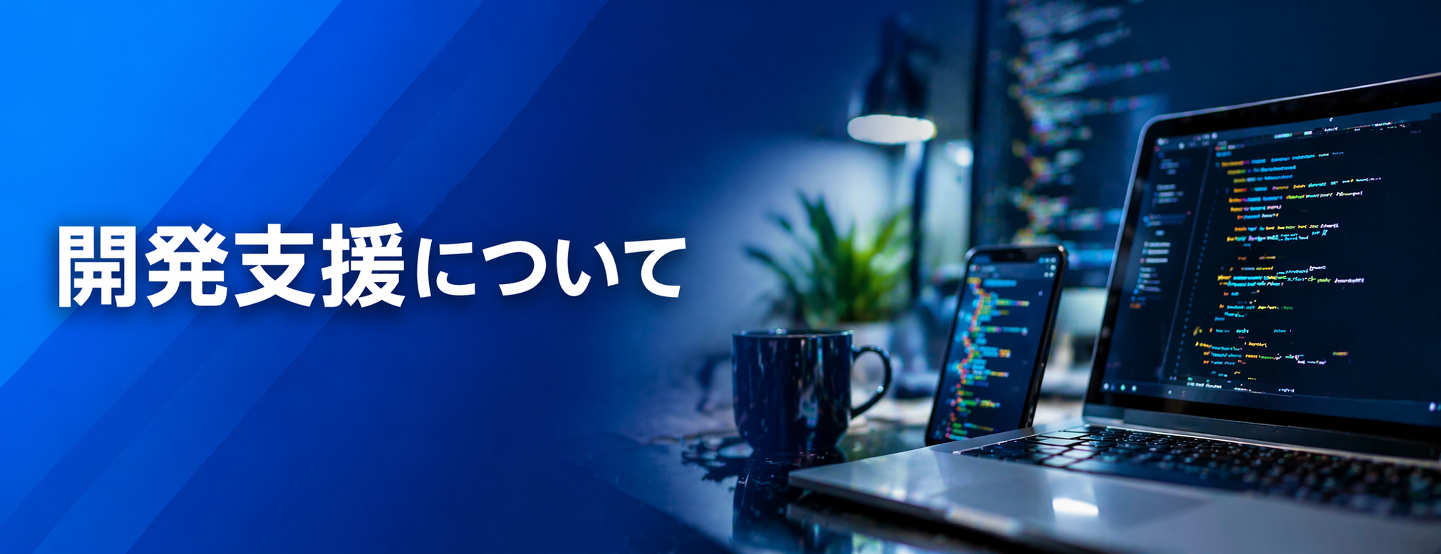 開発支援について